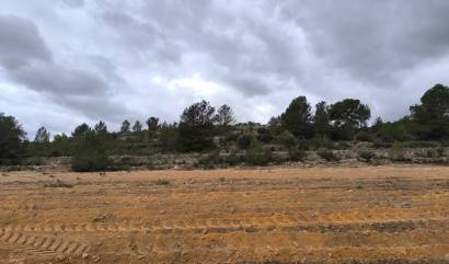 Sale - Land - Chinorlet