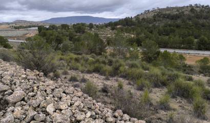 Sale - Land - Chinorlet