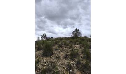 Sale - Land - Chinorlet