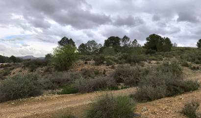 Sale - Land - Chinorlet