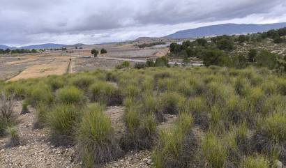 Sale - Land - Chinorlet