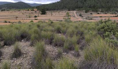 Sale - Land - Chinorlet