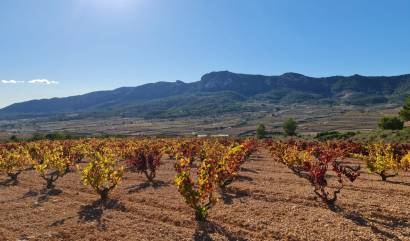 Sale - Land - La Romana