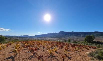 Sale - Land - La Romana