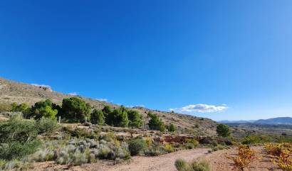 Sale - Land - La Romana