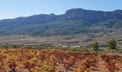 Sale - Land - La Romana