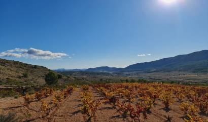 Sale - Land - La Romana