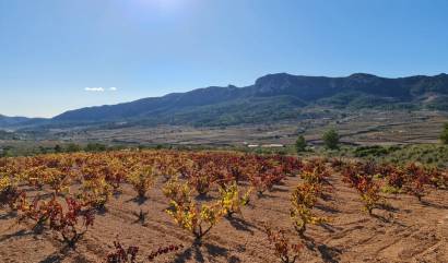 Sale - Land - La Romana