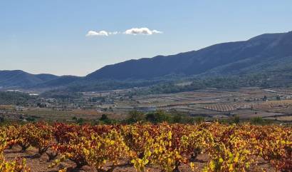 Sale - Land - La Romana