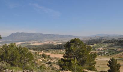 Sale - Land - La Zarza