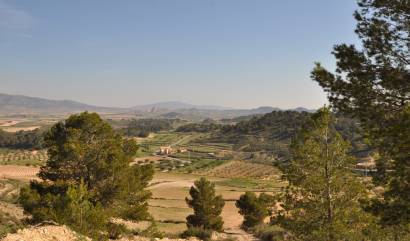 Sale - Land - La Zarza