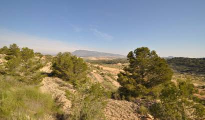 Sale - Land - La Zarza