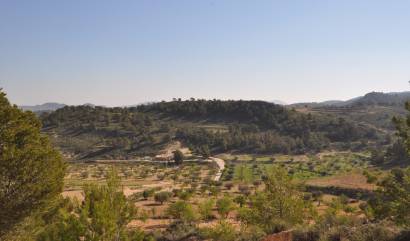 Sale - Land - La Zarza