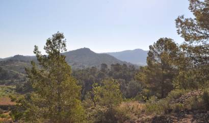 Sale - Land - La Zarza