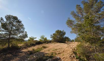 Sale - Land - La Zarza