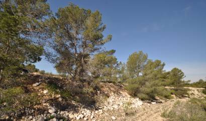 Sale - Land - La Zarza