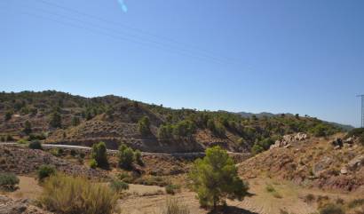 Sale - Land - Macisvenda