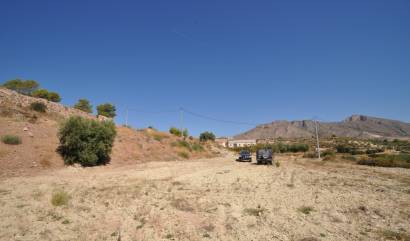 Sale - Land - Macisvenda