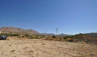 Sale - Land - Macisvenda