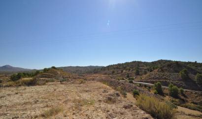 Sale - Land - Macisvenda