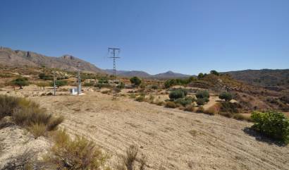 Sale - Land - Macisvenda