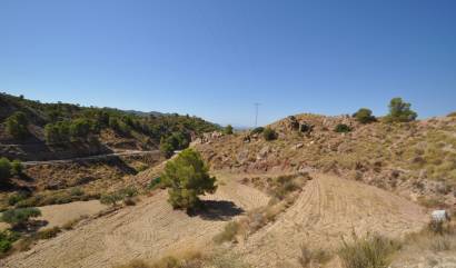 Sale - Land - Macisvenda