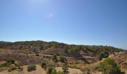 Sale - Land - Macisvenda