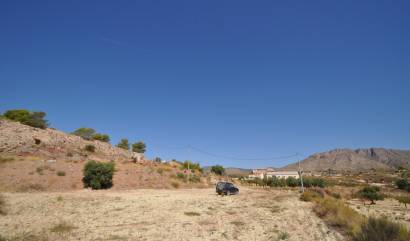 Sale - Land - Macisvenda