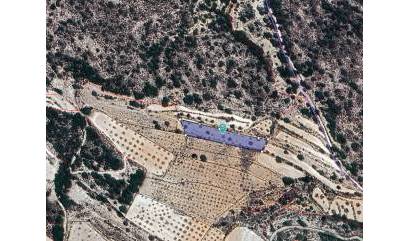 Sale - Land - Monovar