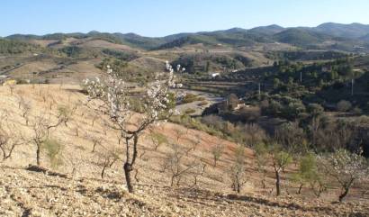 Sale - Land - Murcia