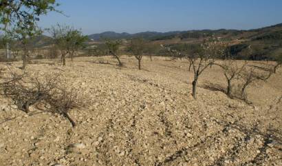 Sale - Land - Murcia