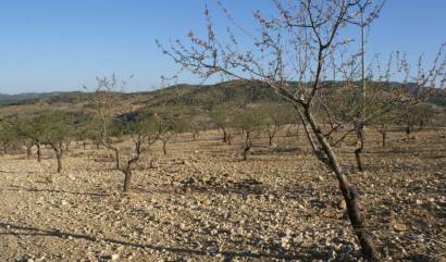 Sale - Land - Murcia