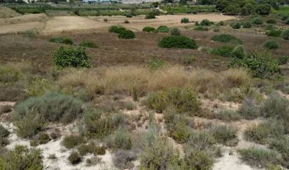 Sale - Land - Pinar de Campoverde