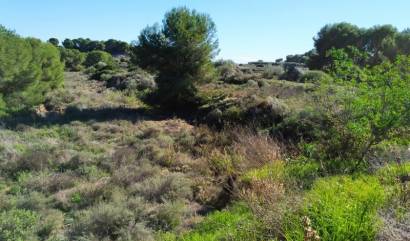 Sale - Land - Pinar de Campoverde