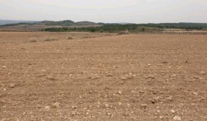 Sale - Land - Pinoso