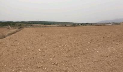 Sale - Land - Pinoso