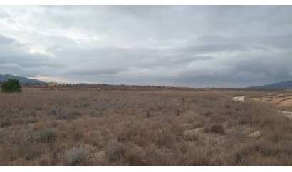 Sale - Land - Pinoso
