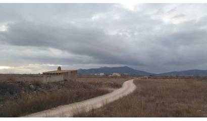 Sale - Land - Pinoso