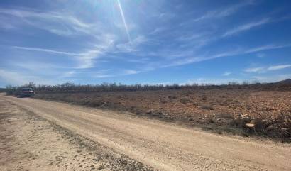 Sale - Land - Pinoso