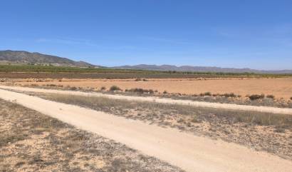 Sale - Land - Pinoso