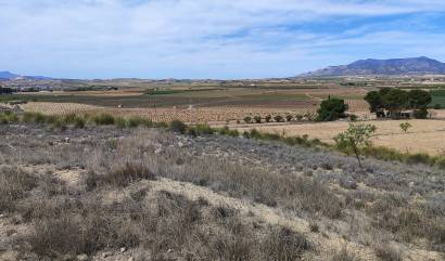 Sale - Land - Pinoso