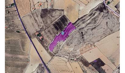 Sale - Land - Pinoso