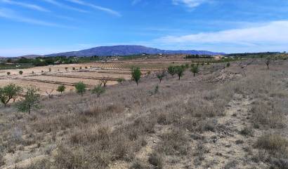 Sale - Land - Pinoso