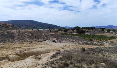 Sale - Land - Pinoso