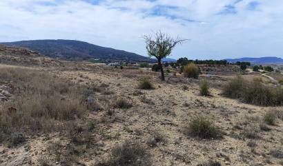 Sale - Land - Pinoso