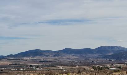 Sale - Land - Raspay