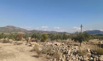 Sale - Land - Salinas