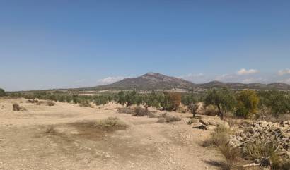 Sale - Land - Salinas