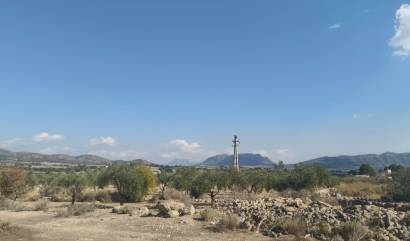 Sale - Land - Salinas