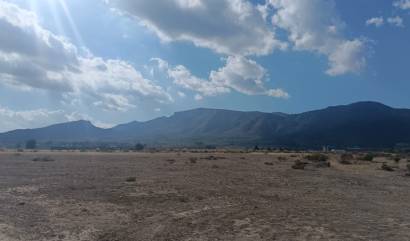 Sale - Land - Salinas